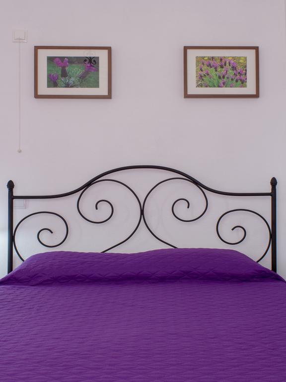 Quinta Da Fonte Do Lugar Guest House Vera Cruz de Marmelar Cameră foto